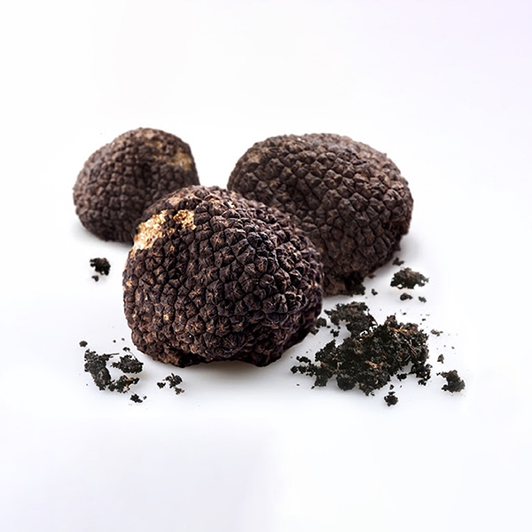 TRUFFLE AND FOIE GRAS